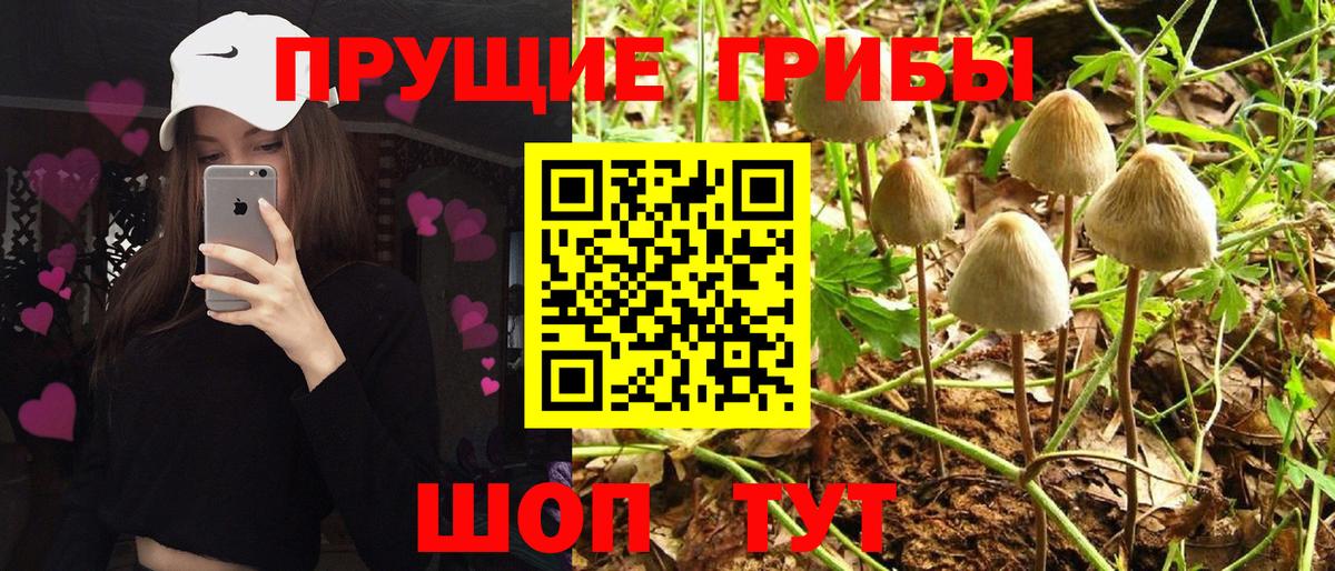 Псилоцибиновые грибы Psilocybine cubensis  Галлюциногенные грибы Magic Shrooms  Южноуральск  Вход с VPN 